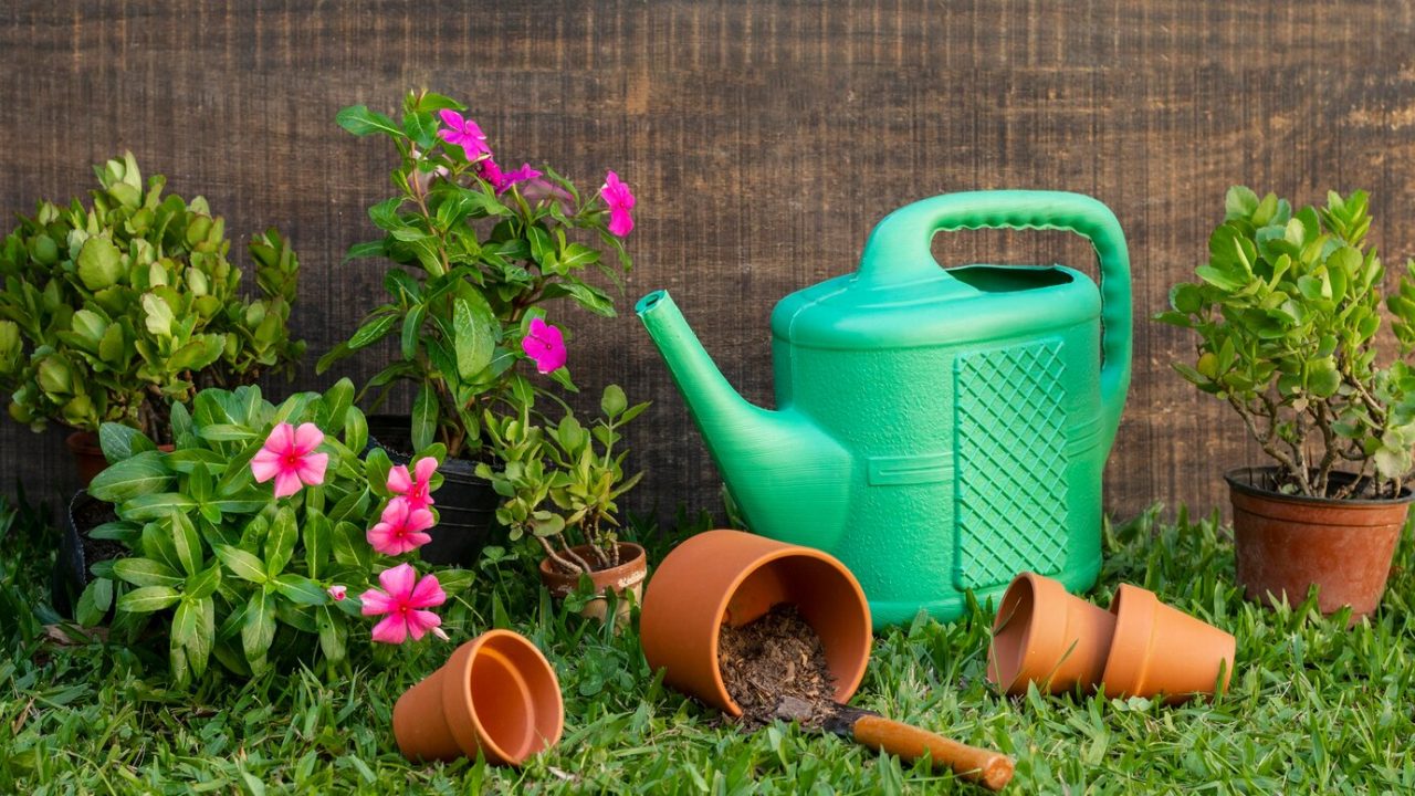 Simple Garden Ideas