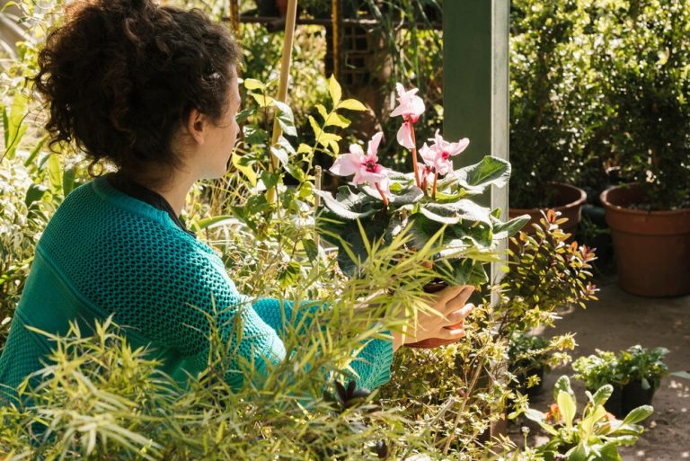 Shade Garden Ideas