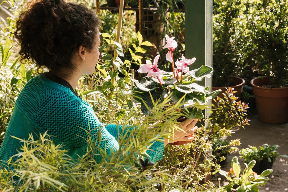 Shade Garden Ideas