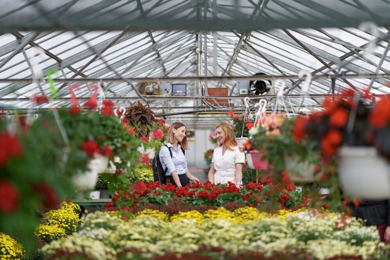 garden center ideas