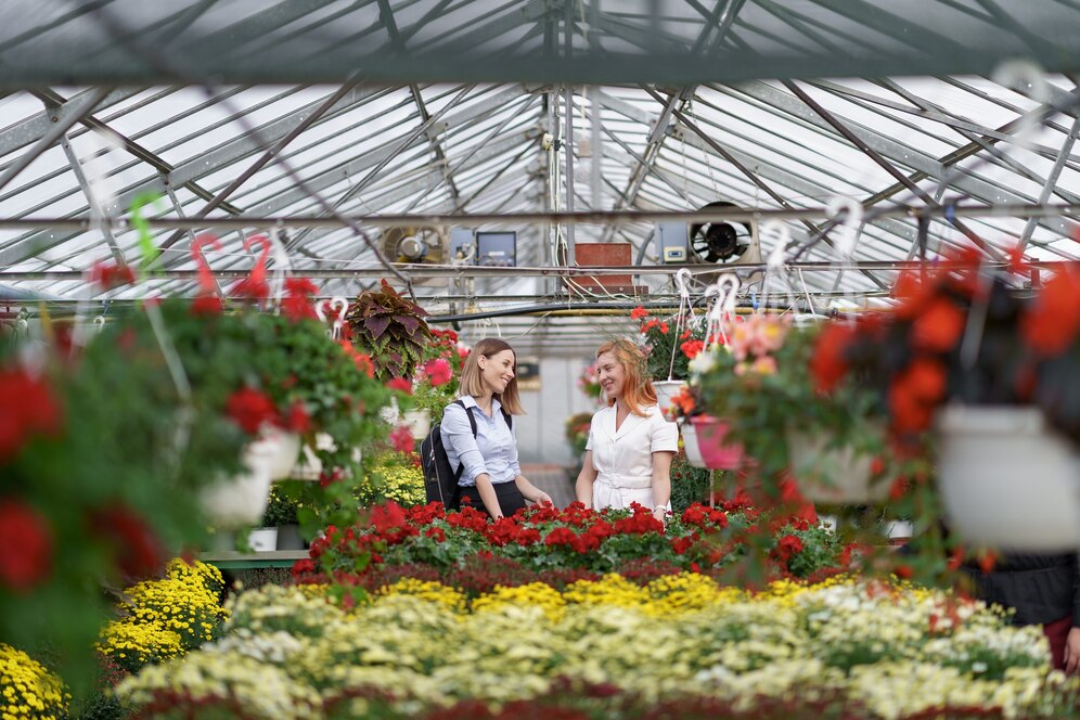 garden center ideas