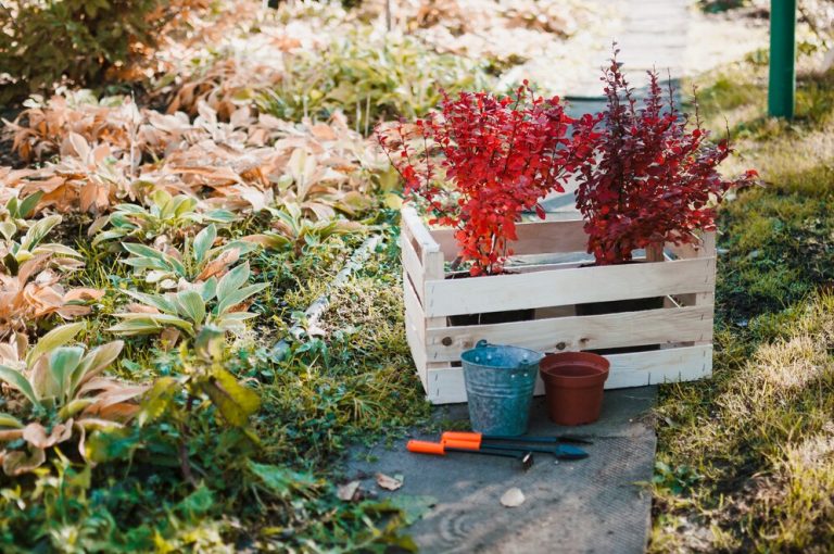 garden box ideas