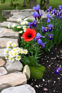 Natural Stone Border