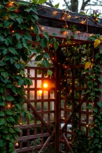 Wrap with Twinkling String Lights