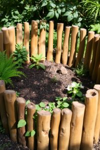 Wood Logs or Branches