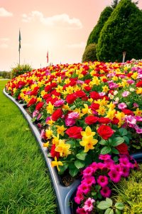 Plastic Lawn Edging Rolls