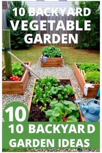 Raised Garden Beds