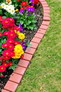 Image Prompt:
A flower garden with red bricks neatly lined up along the edge of a colorful flower bed. Flowers like marigolds and petunias bloom beside the tidy brick border, with grass on the other side.