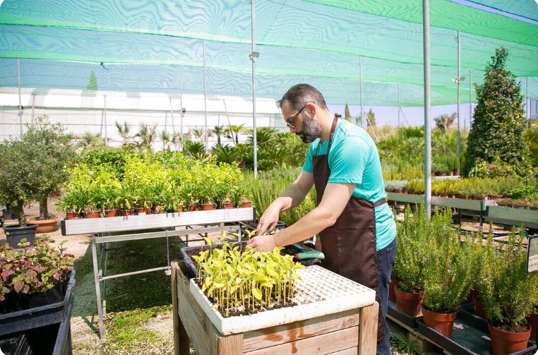 raised garden box ideas