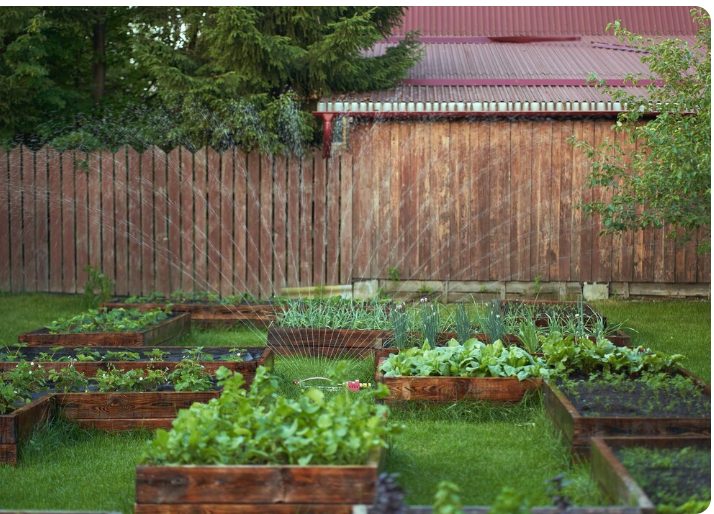backyard vegetable garden ideas