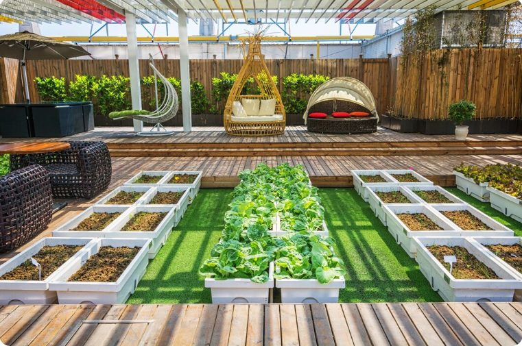 modern garden edging ideas