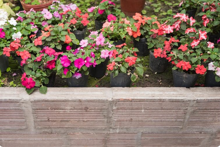 Flower Garden Edging Ideas