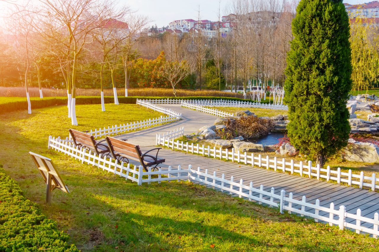 garden landscaping ideas