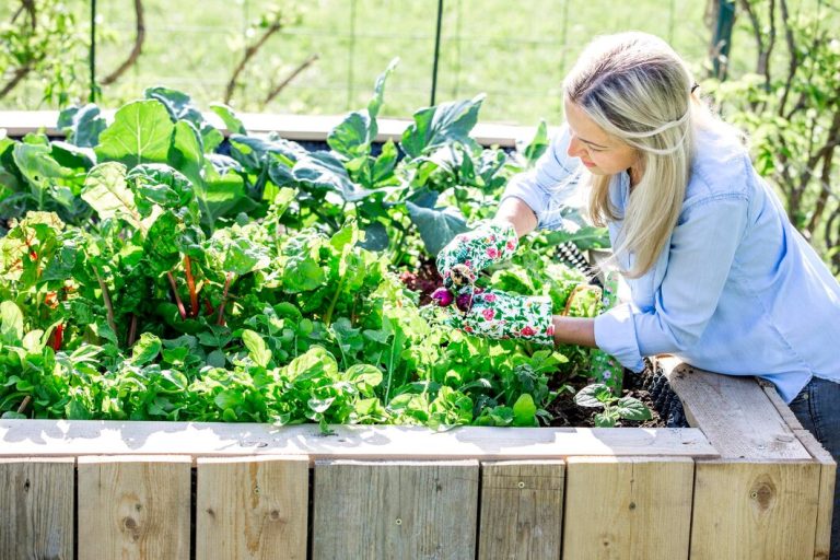 Raised Garden Ideas