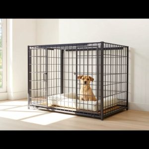 Crate-Style Indoor Kennel