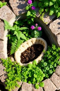 Keyhole Raised Beds