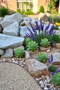 Make a Rock Garden