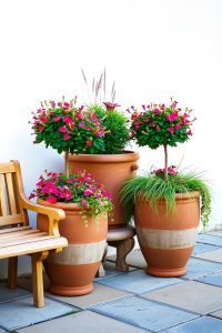 Use Containers with Perennials
