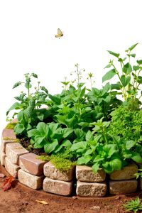 Low Rock or Brick Border Fence