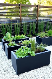 Image Prompt: Black rectangular raised garden beds on white gravel, filled with green plants and herbs, with a modern black fence in the background.