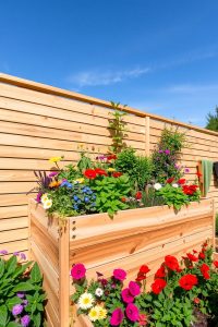 Tiered Raised Garden Beds