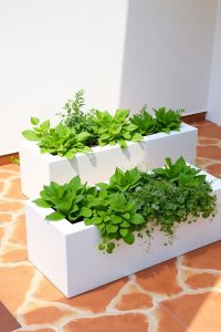 Image Prompt: Modern white rectangular raised garden planters with leafy greens, placed on a tiled patio near a white wall.
