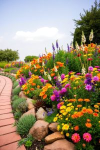 Plant a Garden Border