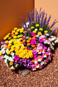 Corner Flower Bed
