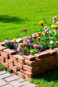 Image Prompt: A garden bed bordered by old red bricks, some flat and some upright, with flowers inside and grass outside.