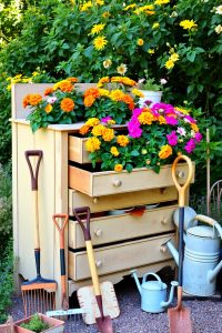 A vintage wooden dresser outdoors with drawers pulled out at different levels, filled with bright flowers like marigolds and petunias, surrounded by garden tools.