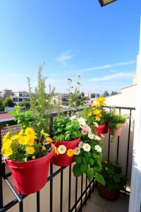 Hanging Planters