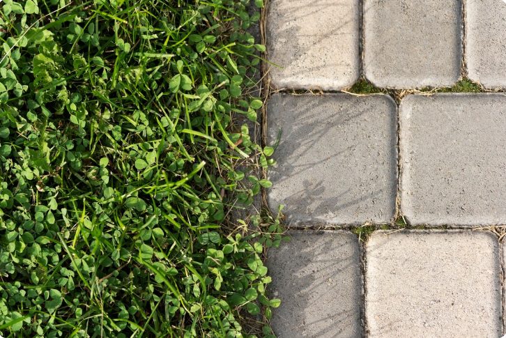 Block Garden Ideas