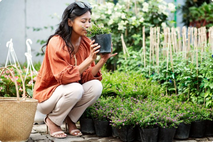 Budget Small Garden Ideas