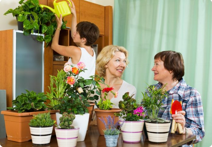 indoor garden ideas