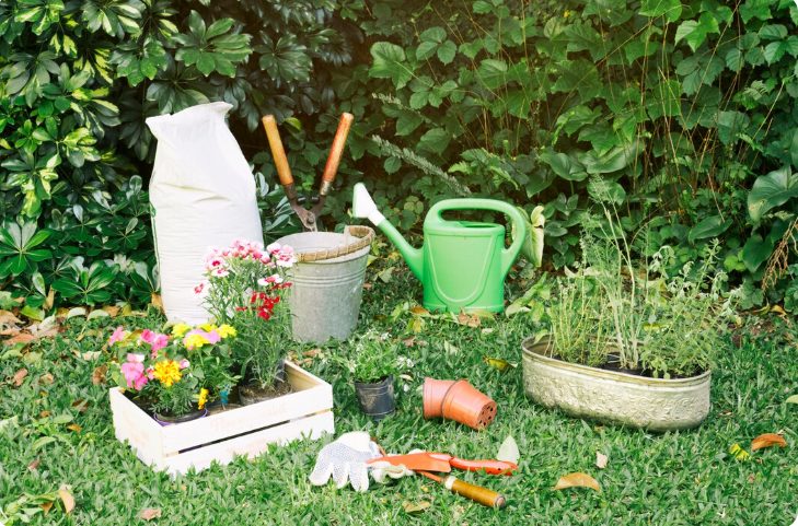 Backyard Garden Ideas