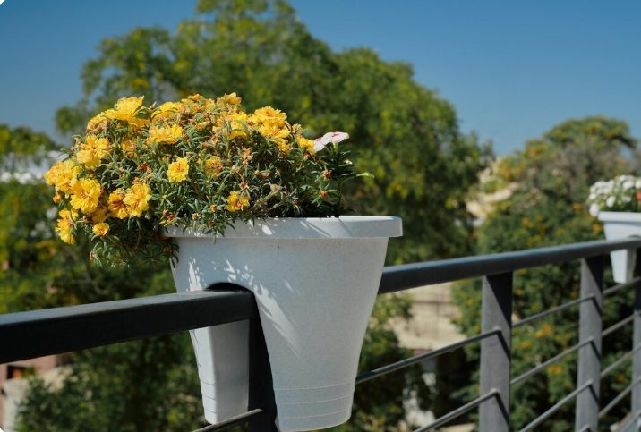 Balcony Garden Ideas
