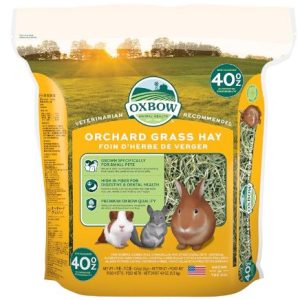 Oxbow Orchard Grass Hay for Small Pets – All-Natural Long Strand Fiber Hay for Rabbits, Guinea Pigs, Chinchillas, and Hamsters – Supports Digestive Health and Enrichment