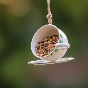 Teacup Feeder