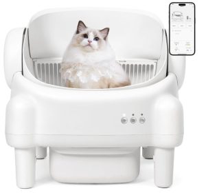 Open Top Automatic Litter Box – Smart Cleaning and Comfort for Happy Cats