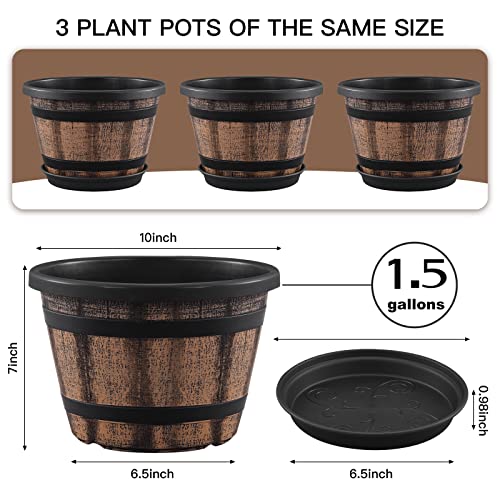 Best Pots For Outdoor Plants