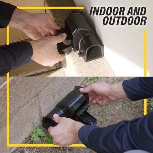 Best Rat Traps For Outdoors