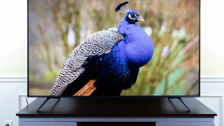 Top 5 Best TVs for Outdoor Viewing in 2026 – Expert Picks